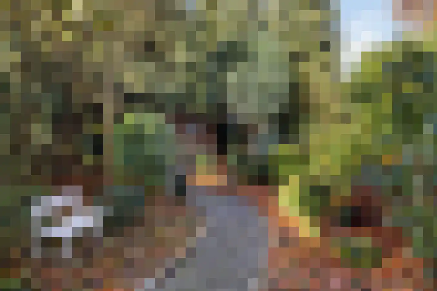 Dorpsstraat 53 Heino thumbnail 55