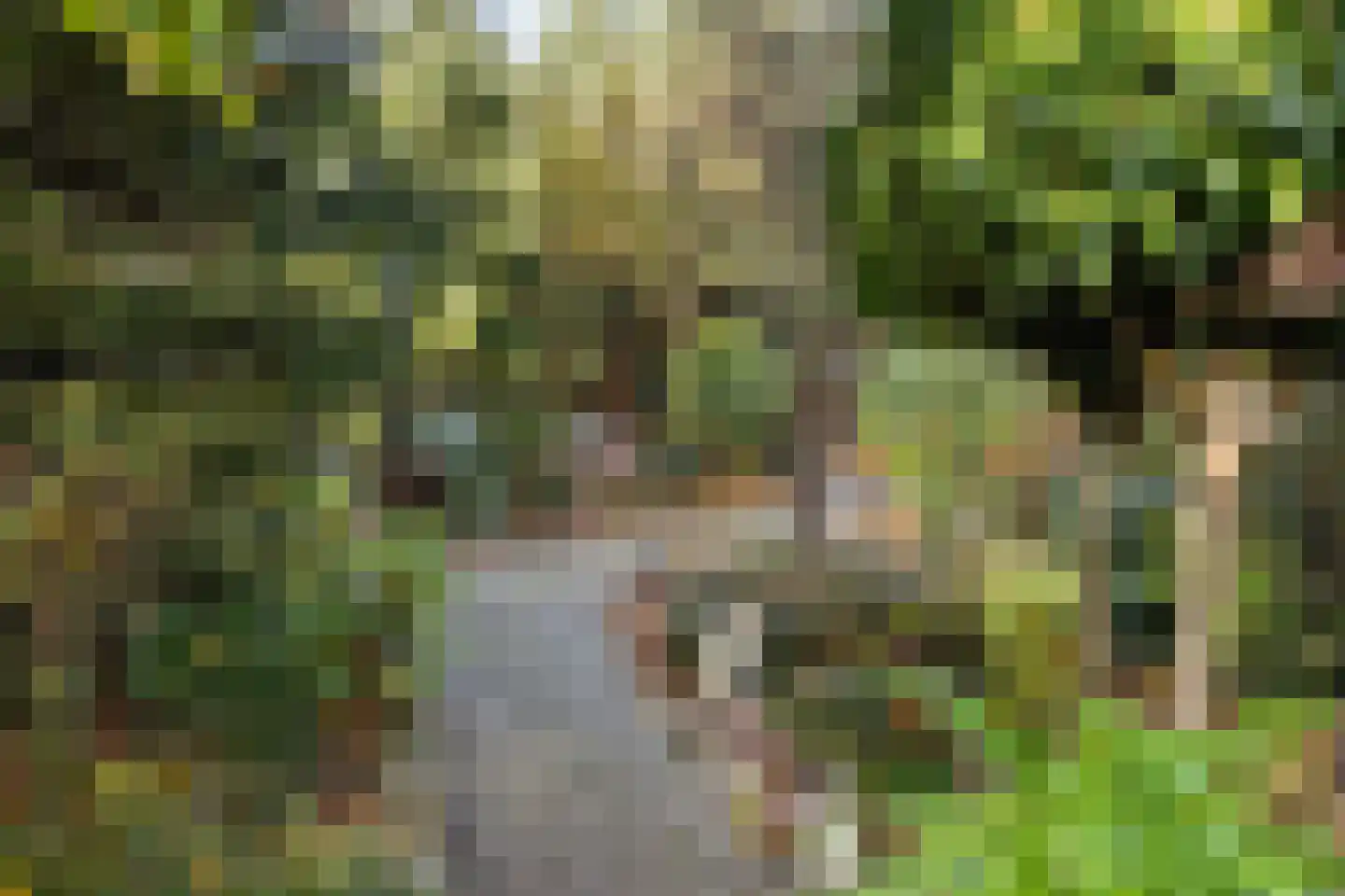 Dorpsstraat 53 Heino thumbnail 56