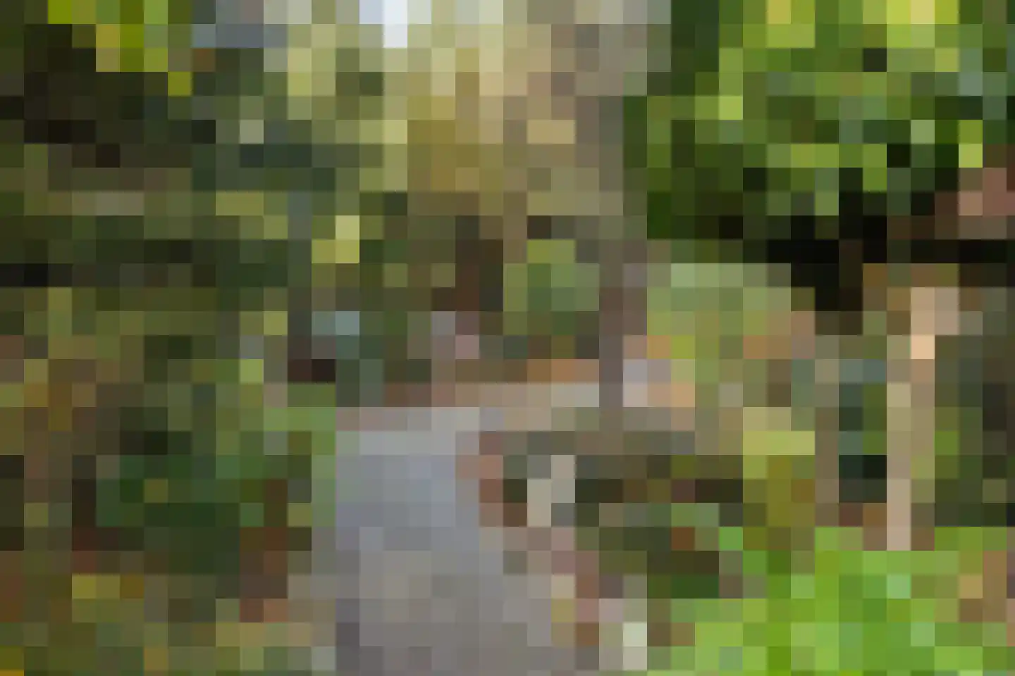Dorpsstraat 53 Heino thumbnail 56
