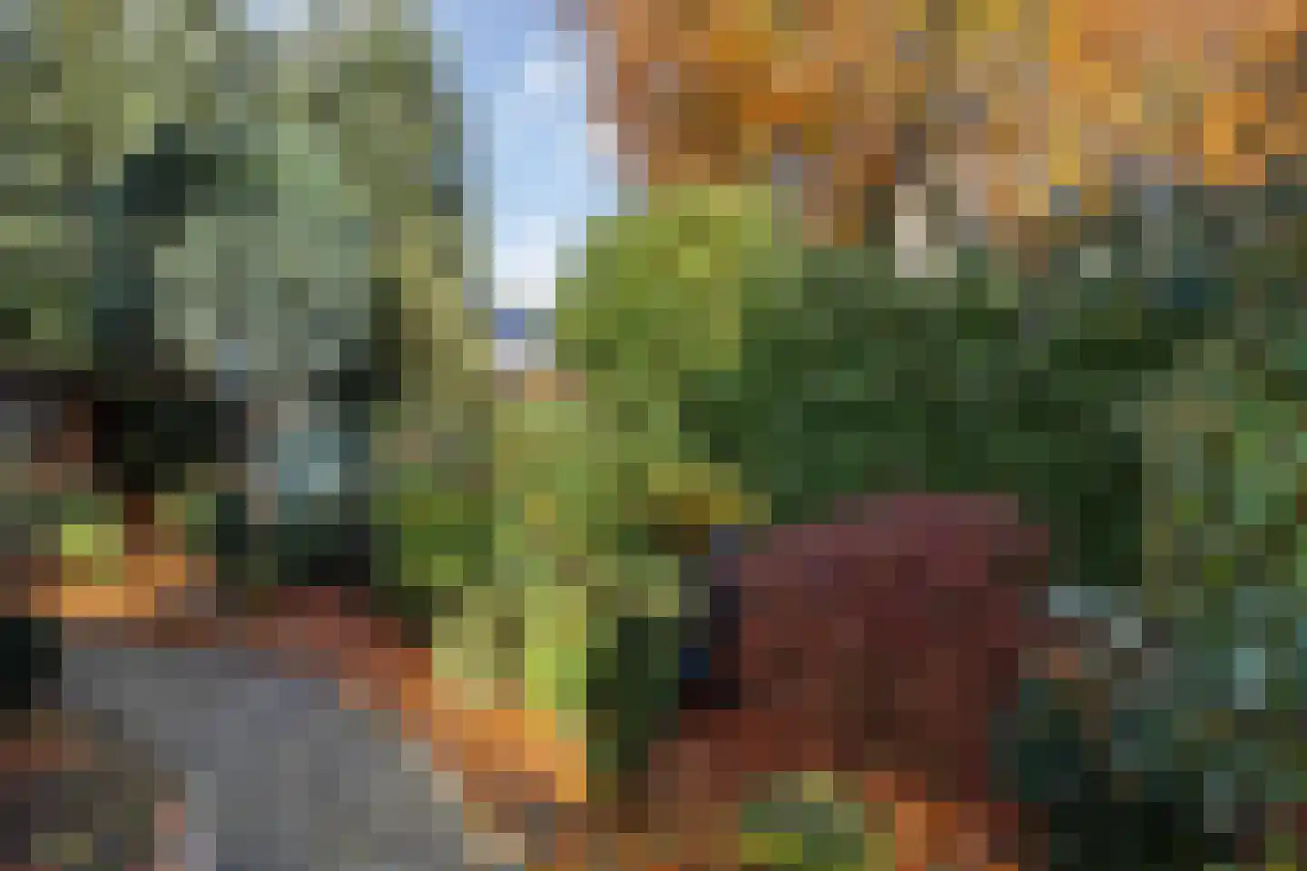 Dorpsstraat 53 Heino thumbnail 57