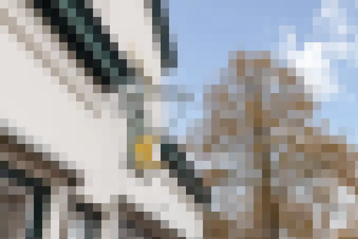 Dorpsstraat 53 Heino thumbnail 7