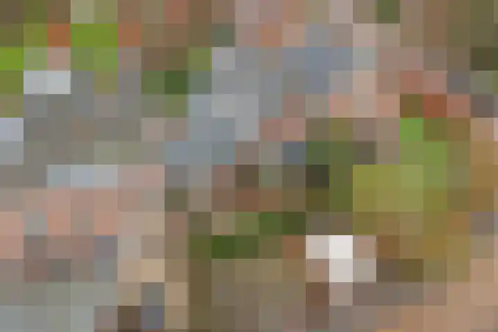 Dorpsstraat 53 Nigtevecht thumbnail 69