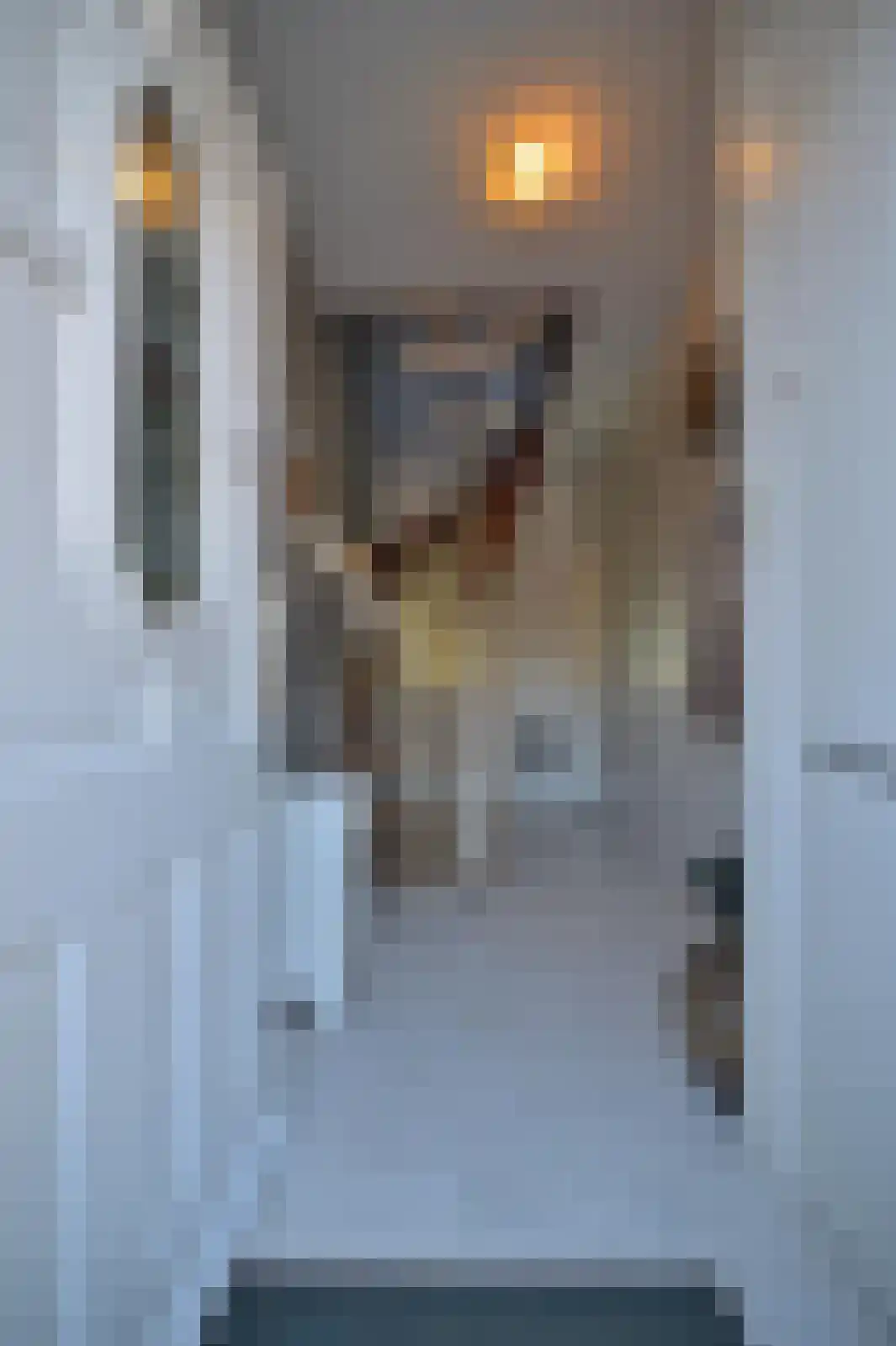 Dorpsstraat 53 Slenaken thumbnail 19