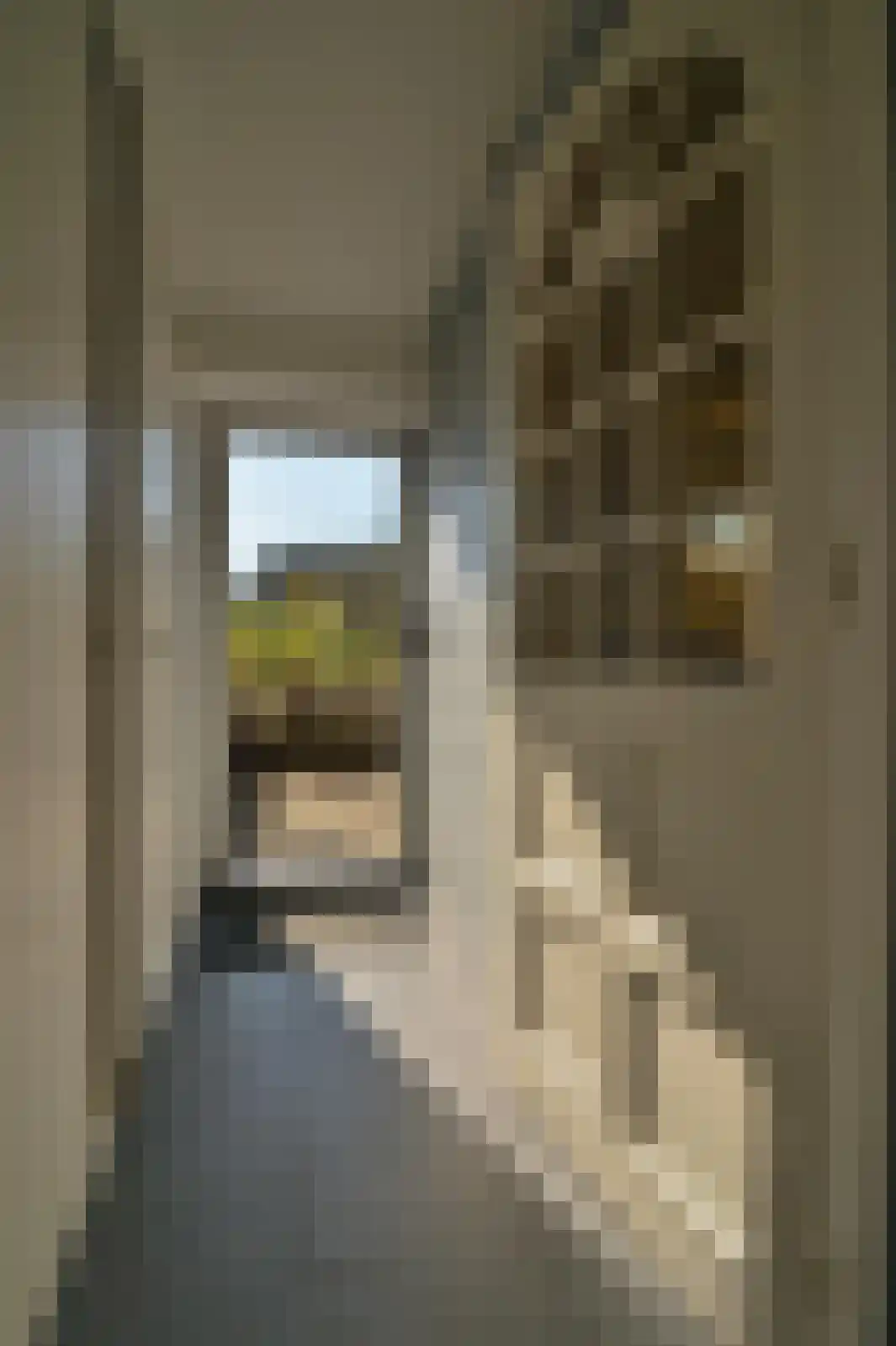 Dorpsstraat 53 Slenaken thumbnail 37