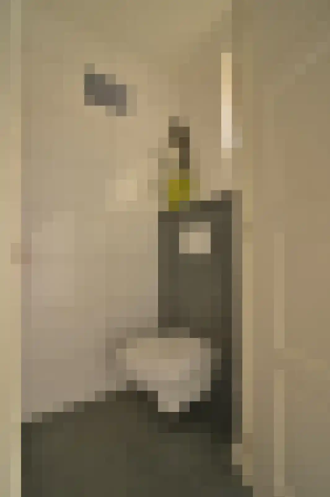Dorpsstraat 53 Slenaken thumbnail 38