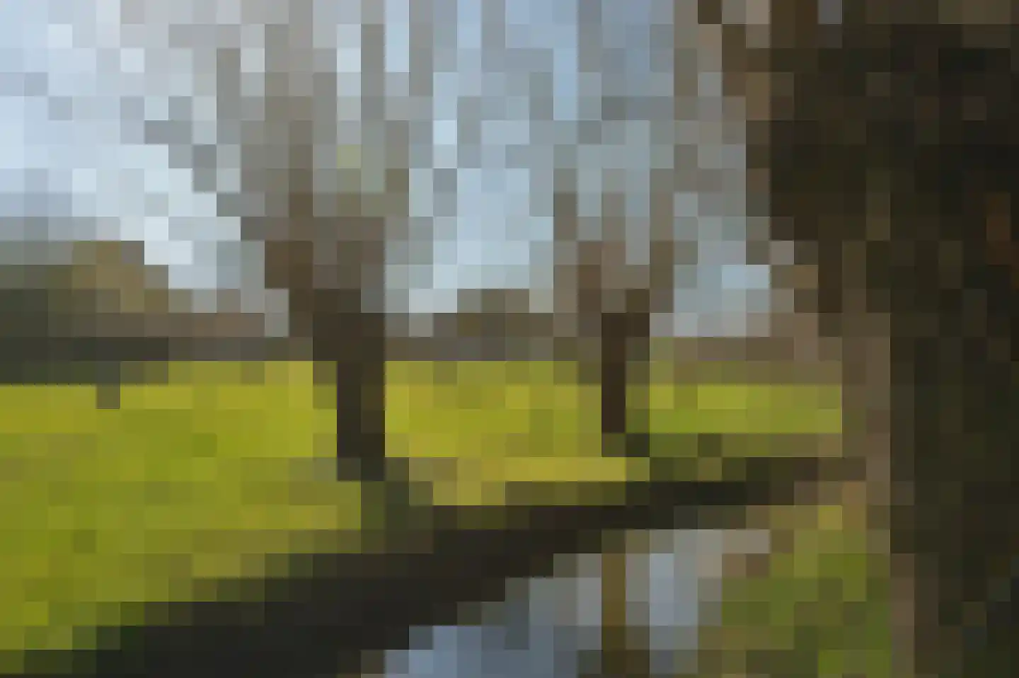 Dorpsstraat 53 Slenaken thumbnail 4