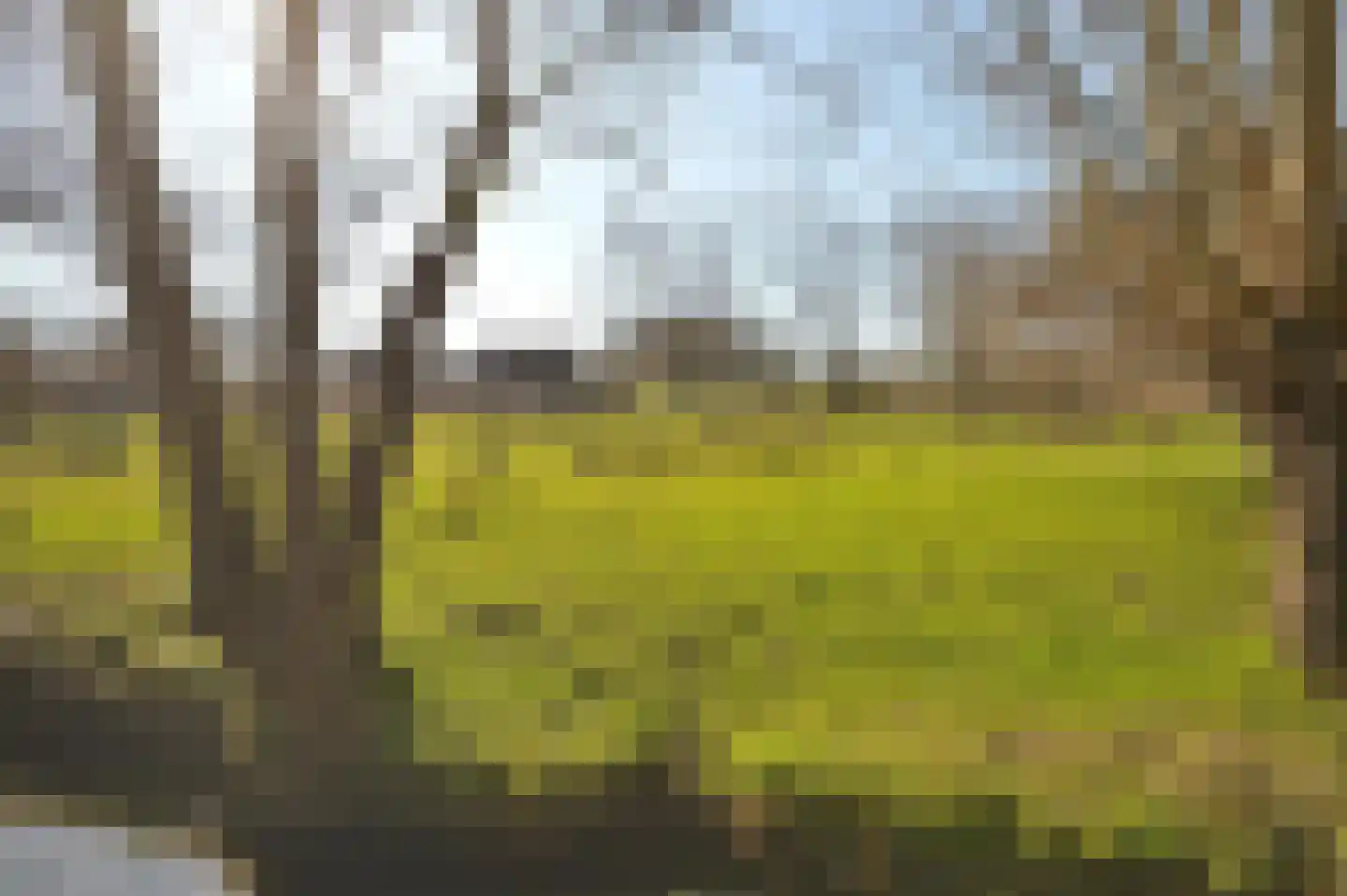Dorpsstraat 53 Slenaken thumbnail 5
