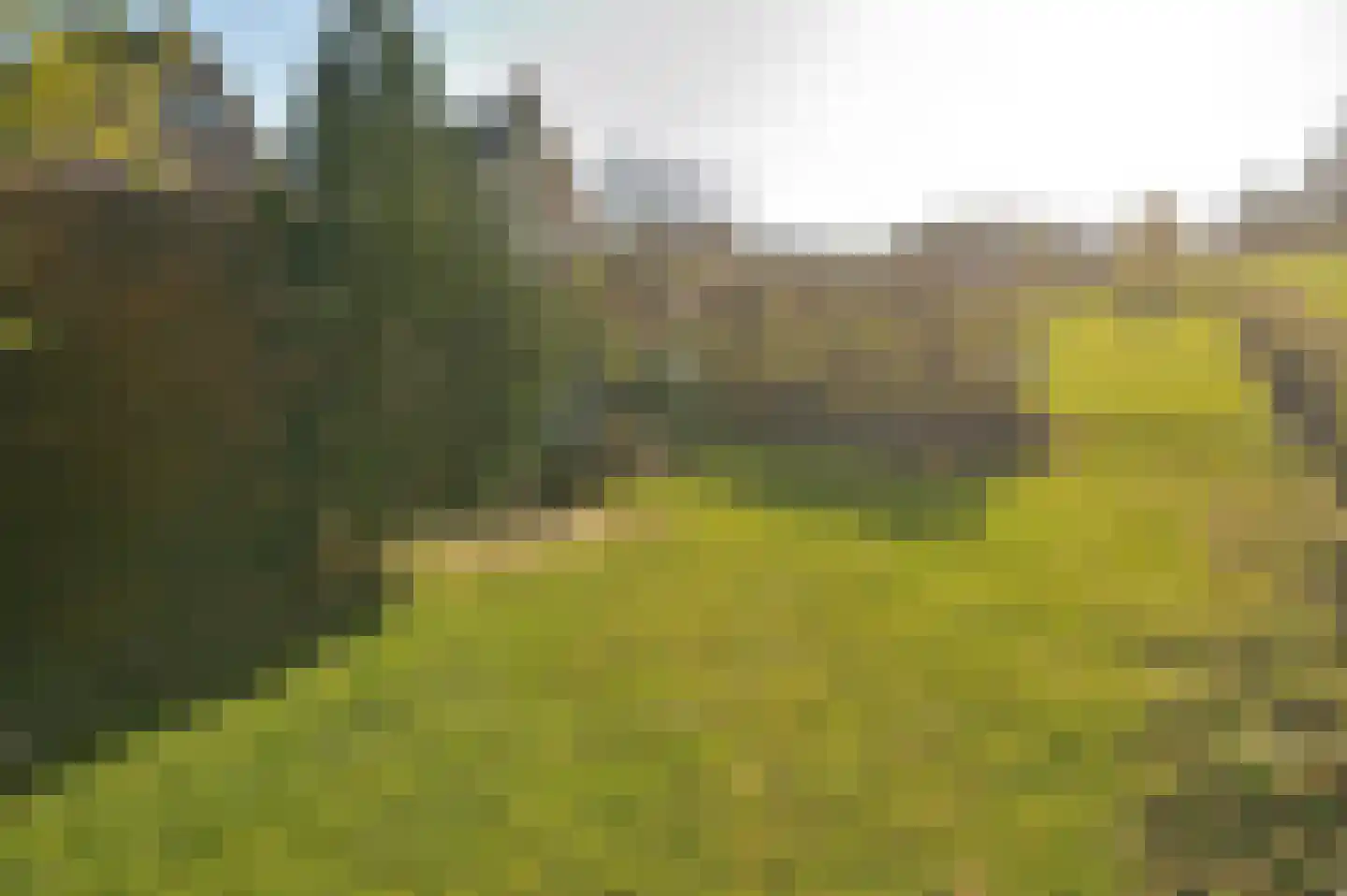 Dorpsstraat 53 Slenaken thumbnail 52