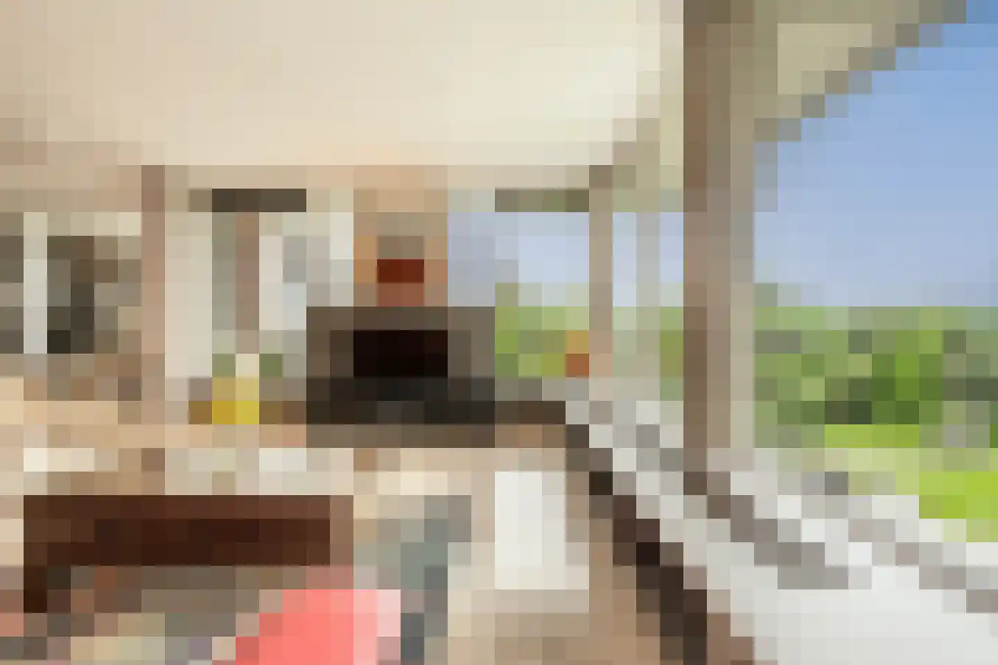 Dorpsstraat 54 A Maasdam thumbnail 11