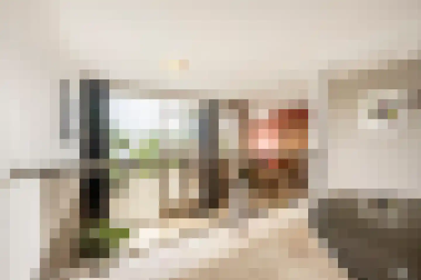 Dorpsstraat 54 A Maasdam thumbnail 15