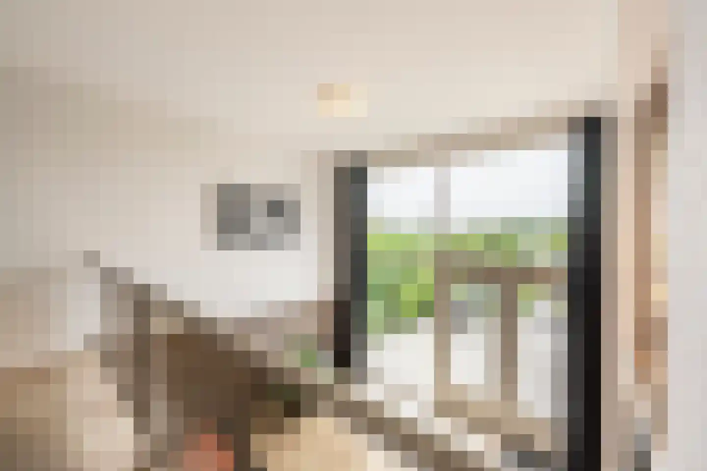 Dorpsstraat 54 A Maasdam thumbnail 19