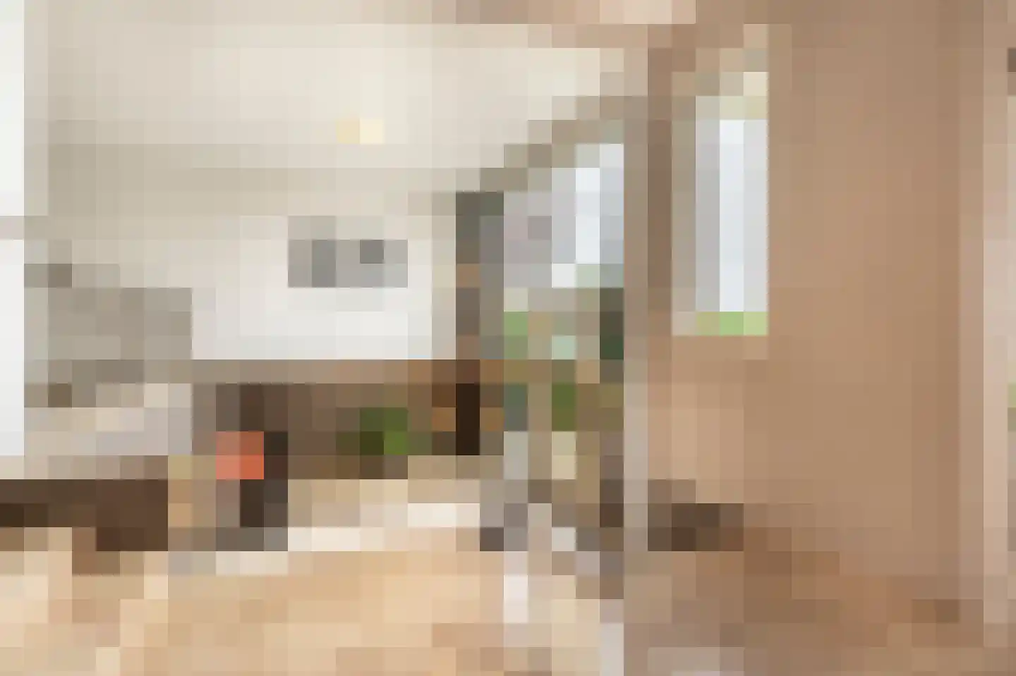 Dorpsstraat 54 A Maasdam thumbnail 20