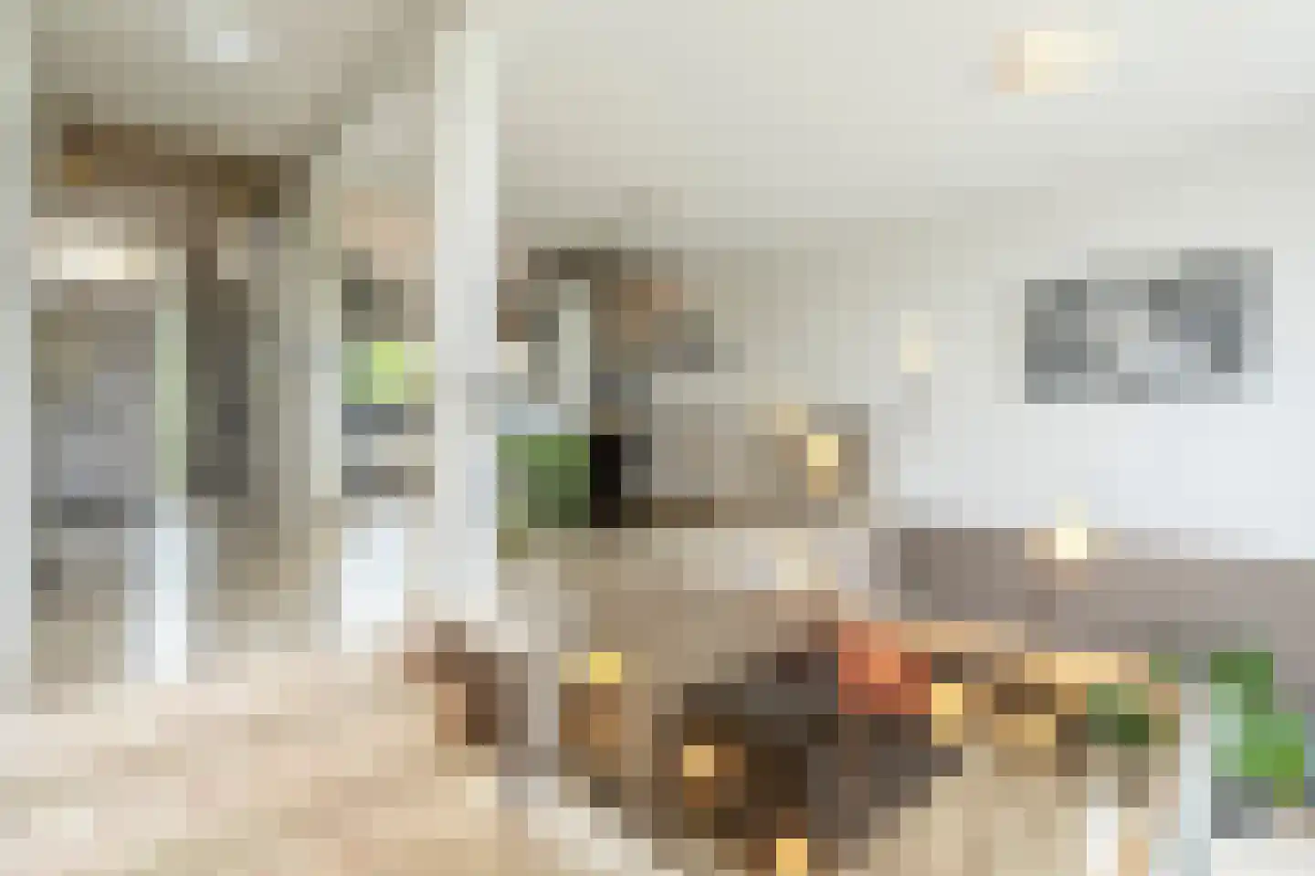 Dorpsstraat 54 A Maasdam thumbnail 21