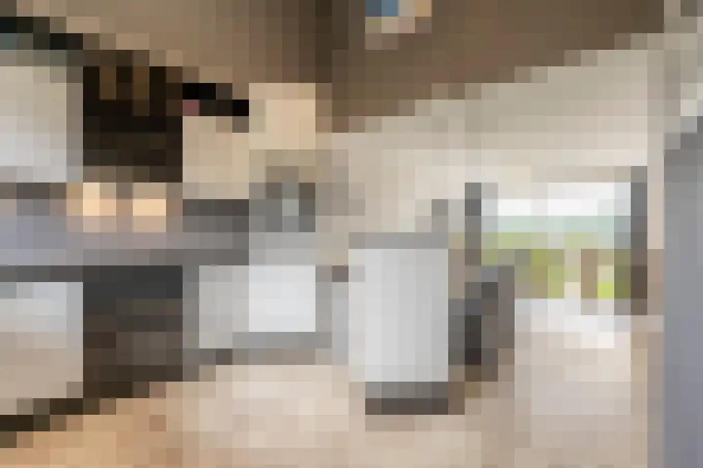 Dorpsstraat 54 A Maasdam thumbnail 25