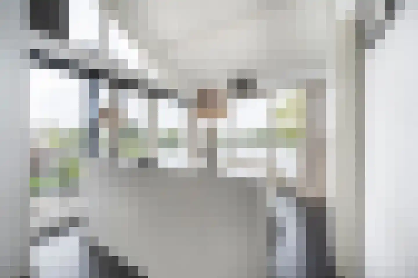 Dorpsstraat 54 A Maasdam thumbnail 33