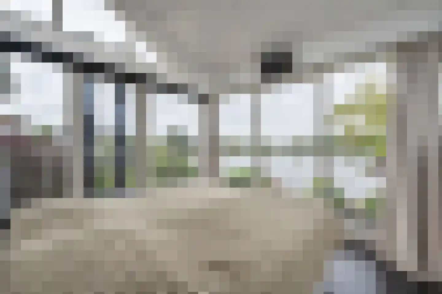 Dorpsstraat 54 A Maasdam thumbnail 34