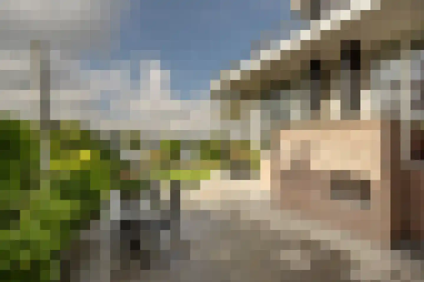 Dorpsstraat 54 A Maasdam thumbnail 44