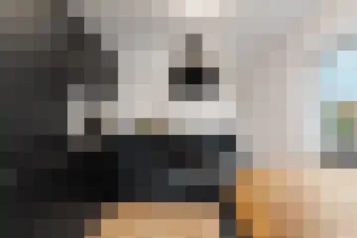 Dorpsstraat 54 b Afferden L thumbnail 8