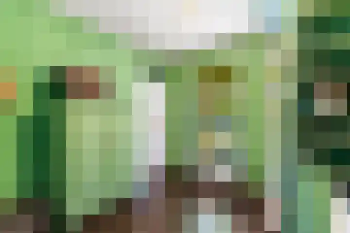 Dorpsstraat 54 Graauw thumbnail 30