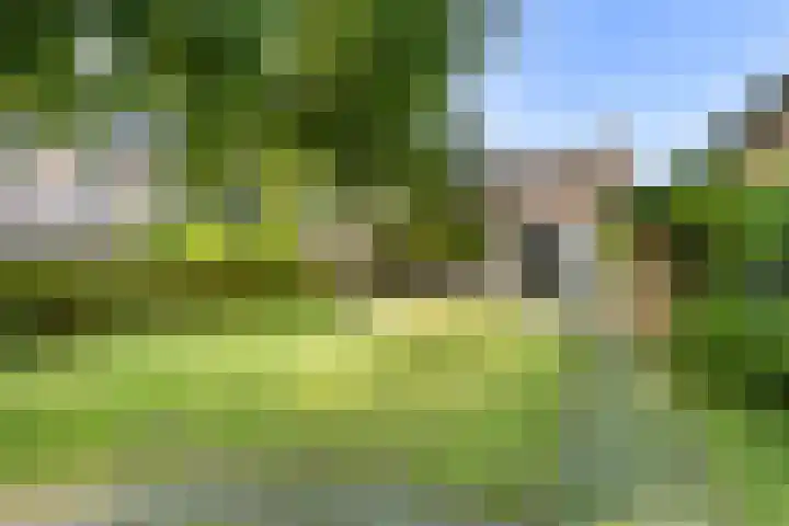 Dorpsstraat 54 Graauw thumbnail 43