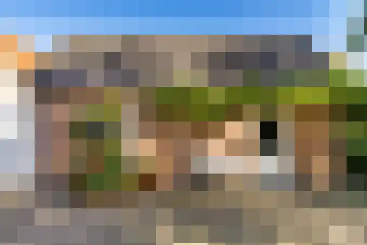 Dorpsstraat 54 Graauw thumbnail 45