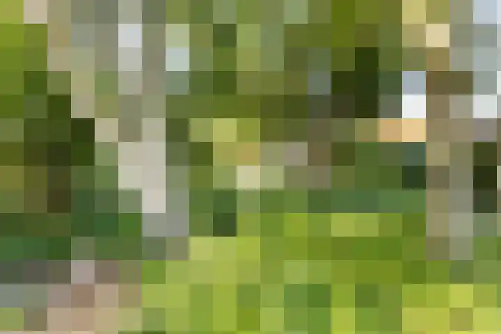 Dorpsstraat 54 Graauw thumbnail 47