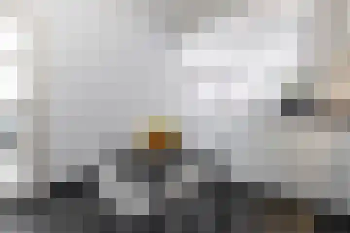 Dorpsstraat 54 Ossendrecht thumbnail 16