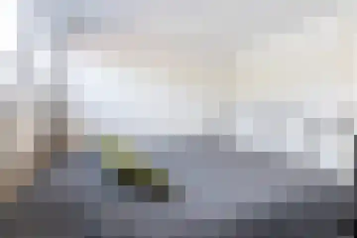Dorpsstraat 54 Ossendrecht thumbnail 41
