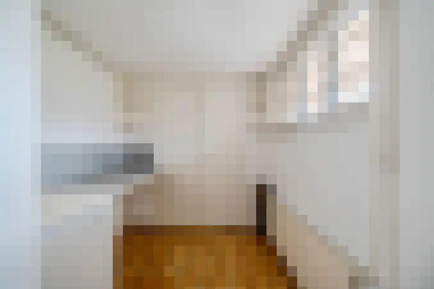 Dorpsstraat 544 Noord-Scharwoude thumbnail 16