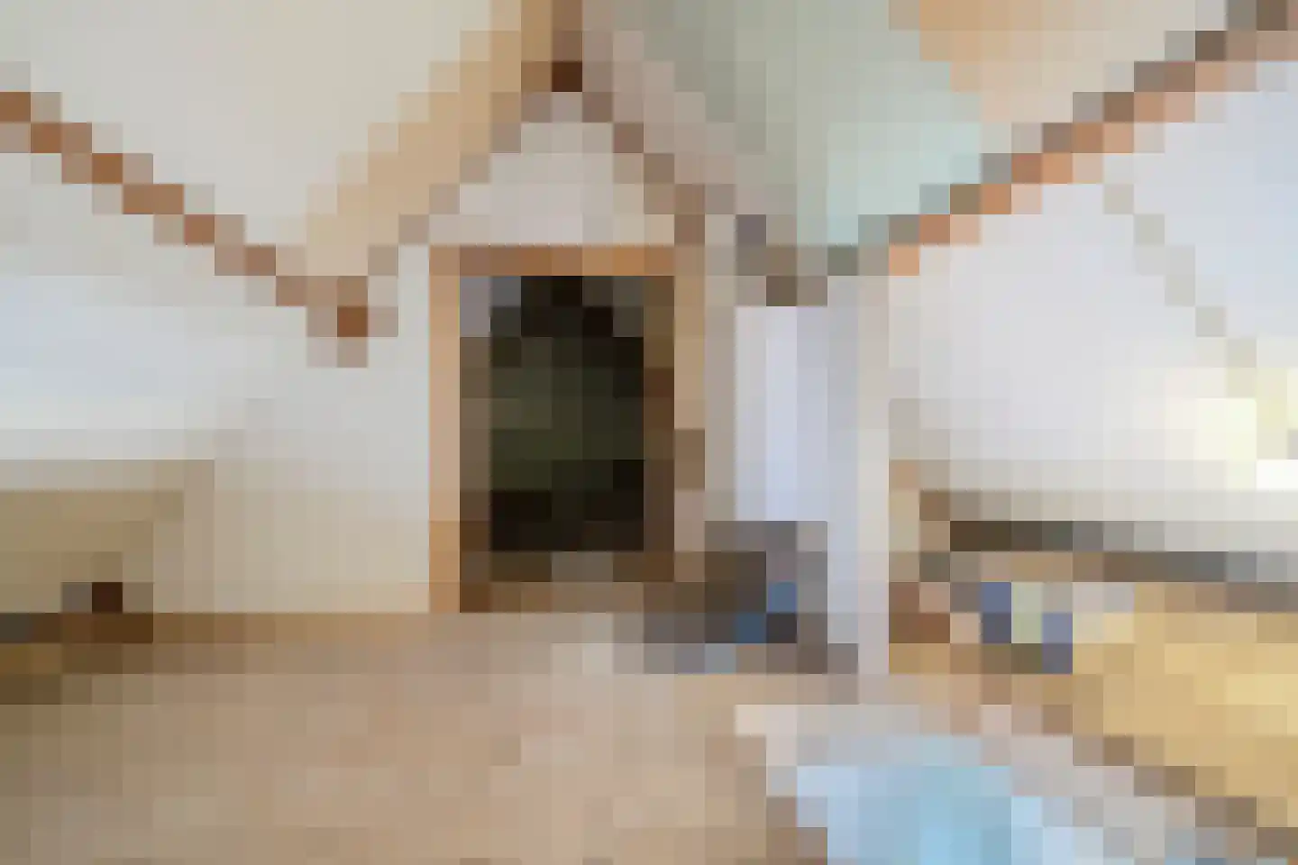 Dorpsstraat 544 Noord-Scharwoude thumbnail 32