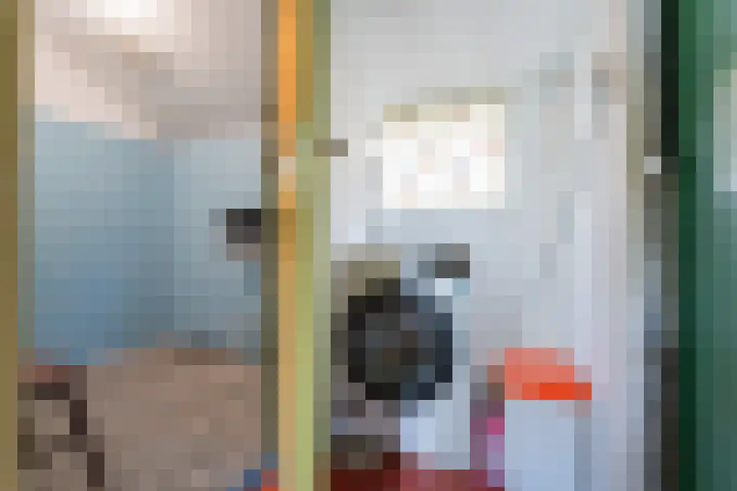 Dorpsstraat 55 Jisp thumbnail 19
