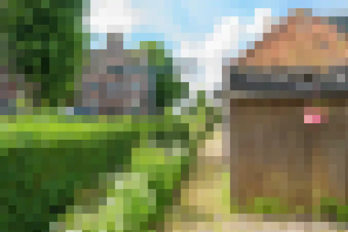 Dorpsstraat 55 Jisp thumbnail 6