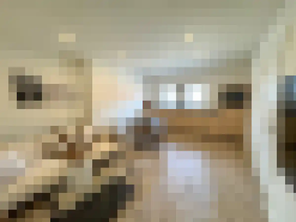 Dorpsstraat 55 Krabbendijke thumbnail 5