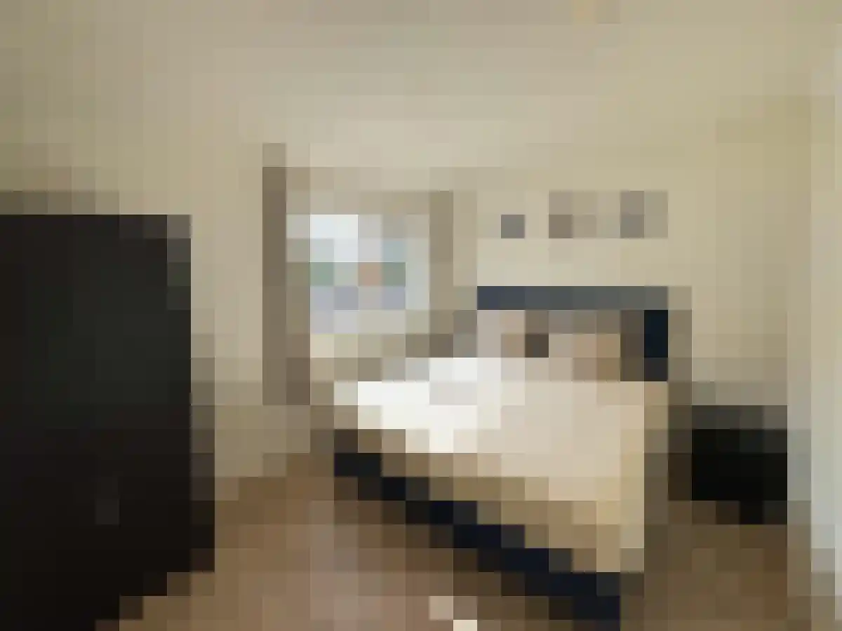 Dorpsstraat 55 Krabbendijke thumbnail 6