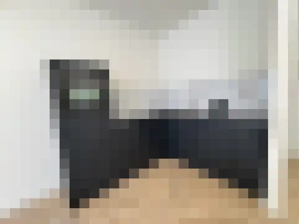 Dorpsstraat 55 Krabbendijke thumbnail 6