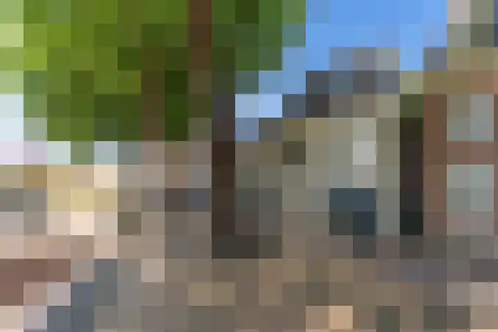 Dorpsstraat 55 Nieuwegein thumbnail 8