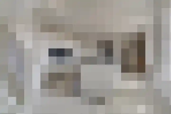 Dorpsstraat 55 Nieuwegein thumbnail 9