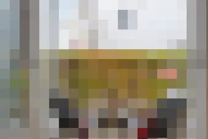 Dorpsstraat 55 Oegstgeest thumbnail 13