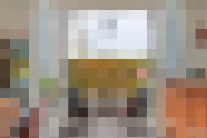 Dorpsstraat 55 Oegstgeest thumbnail 4