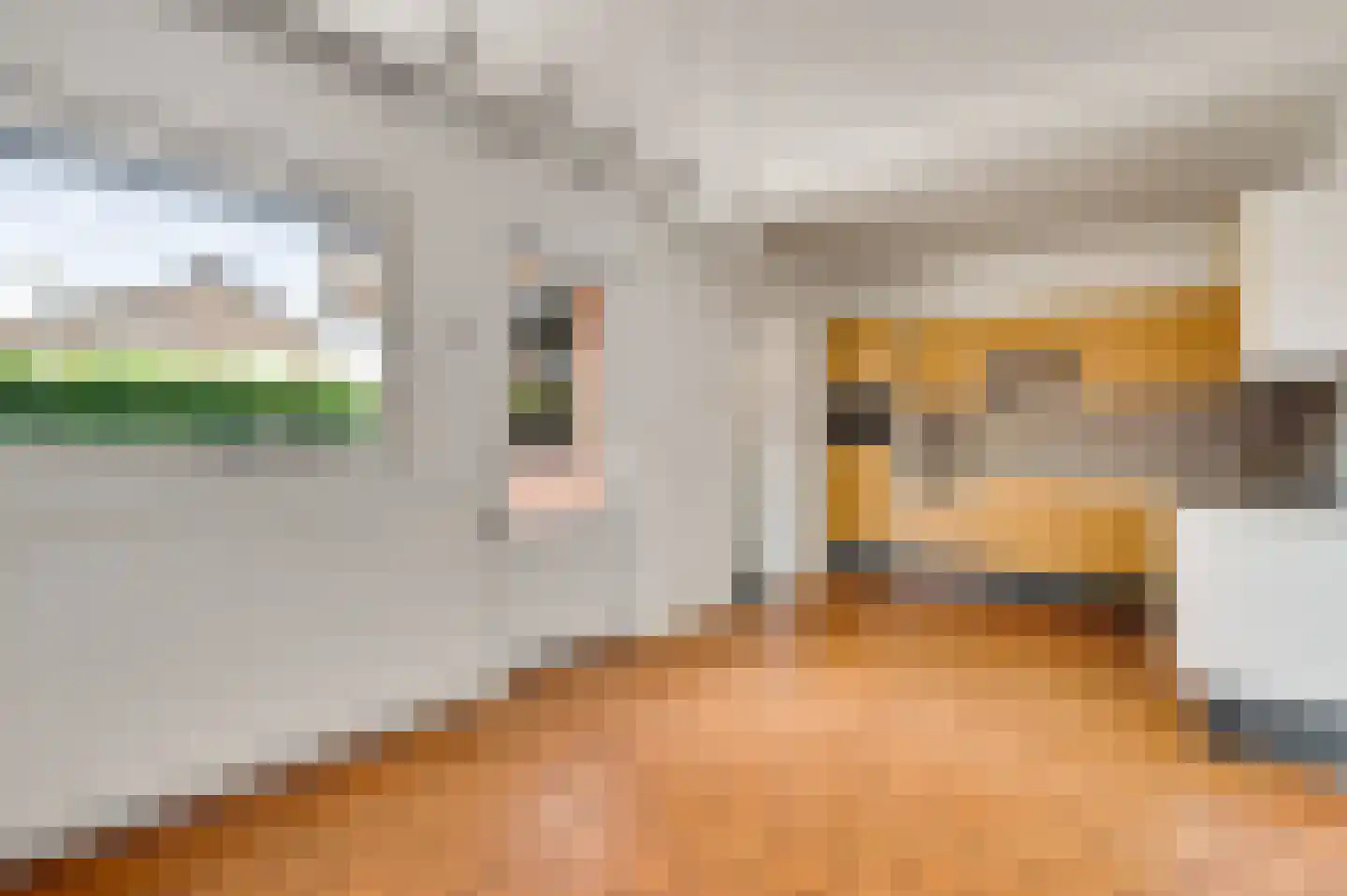 Dorpsstraat 55 Schinnen thumbnail 15