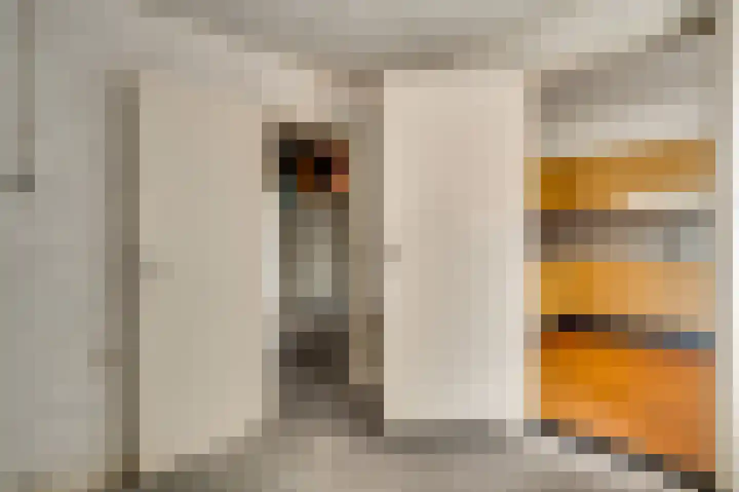 Dorpsstraat 55 Schinnen thumbnail 19
