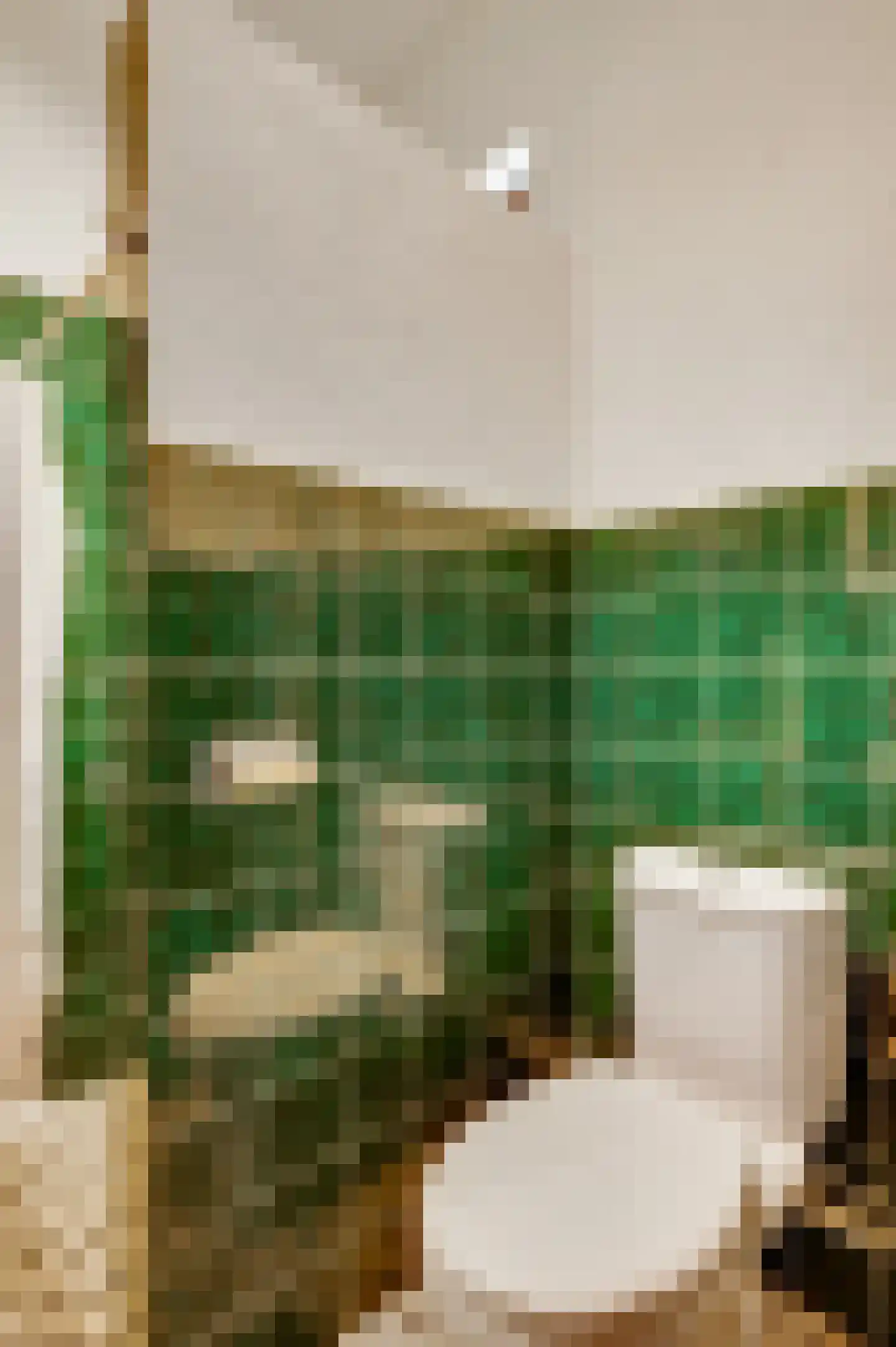Dorpsstraat 55 Schinnen thumbnail 25