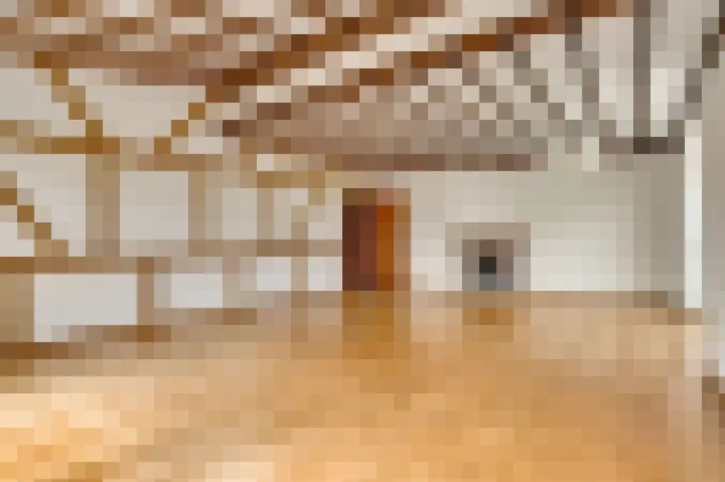 Dorpsstraat 55 Schinnen thumbnail 29