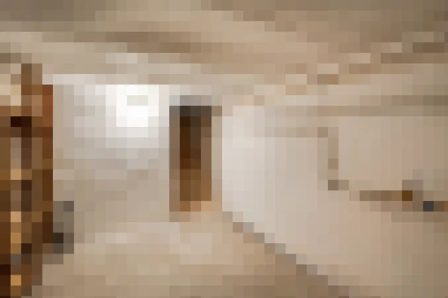 Dorpsstraat 55 Schinnen thumbnail 32
