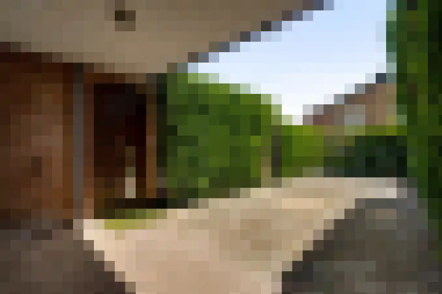 Dorpsstraat 55 Schinnen thumbnail 34