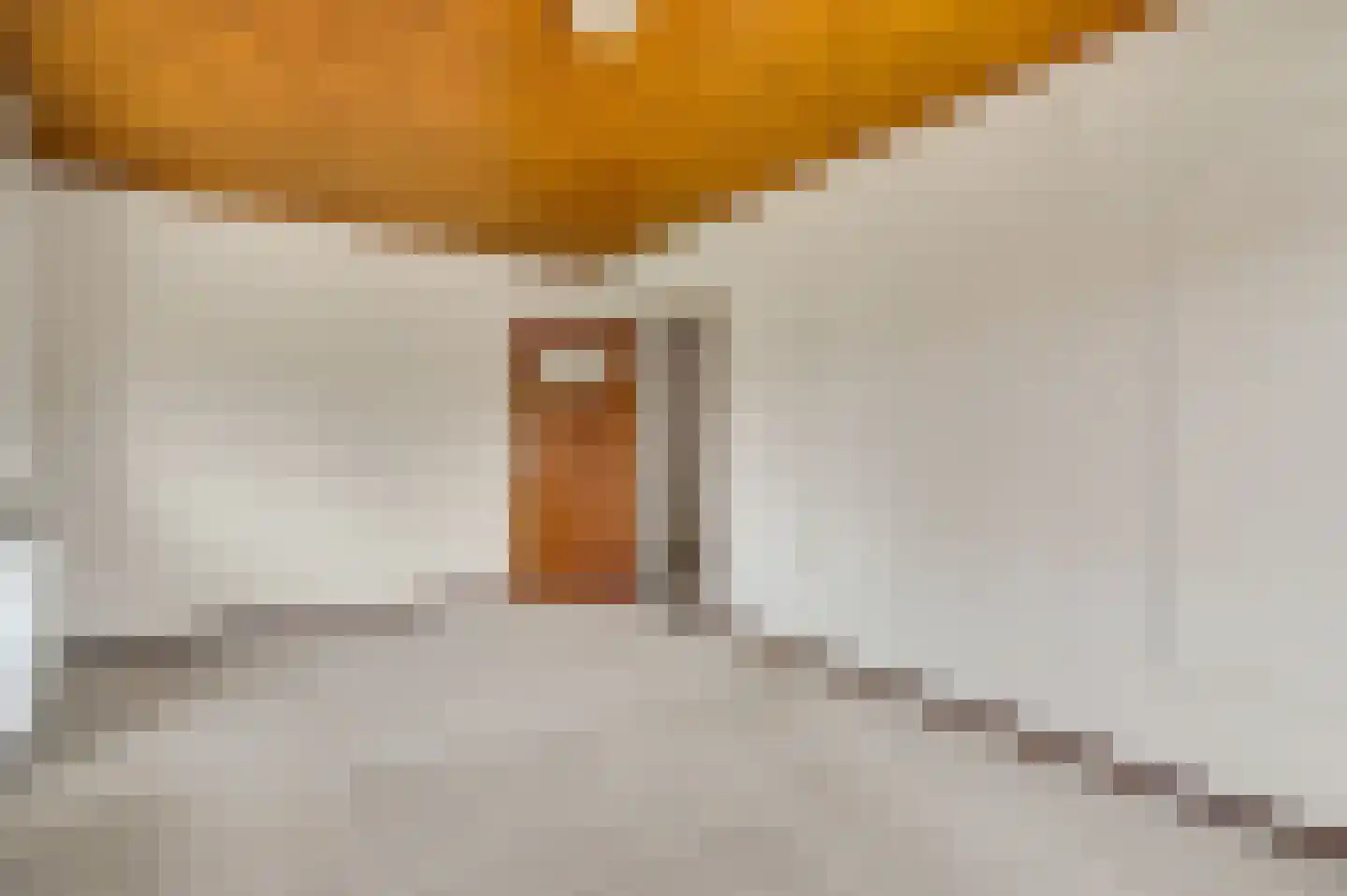 Dorpsstraat 55 Schinnen thumbnail 49
