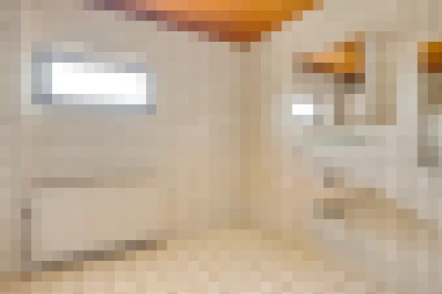 Dorpsstraat 55 Schinnen thumbnail 53