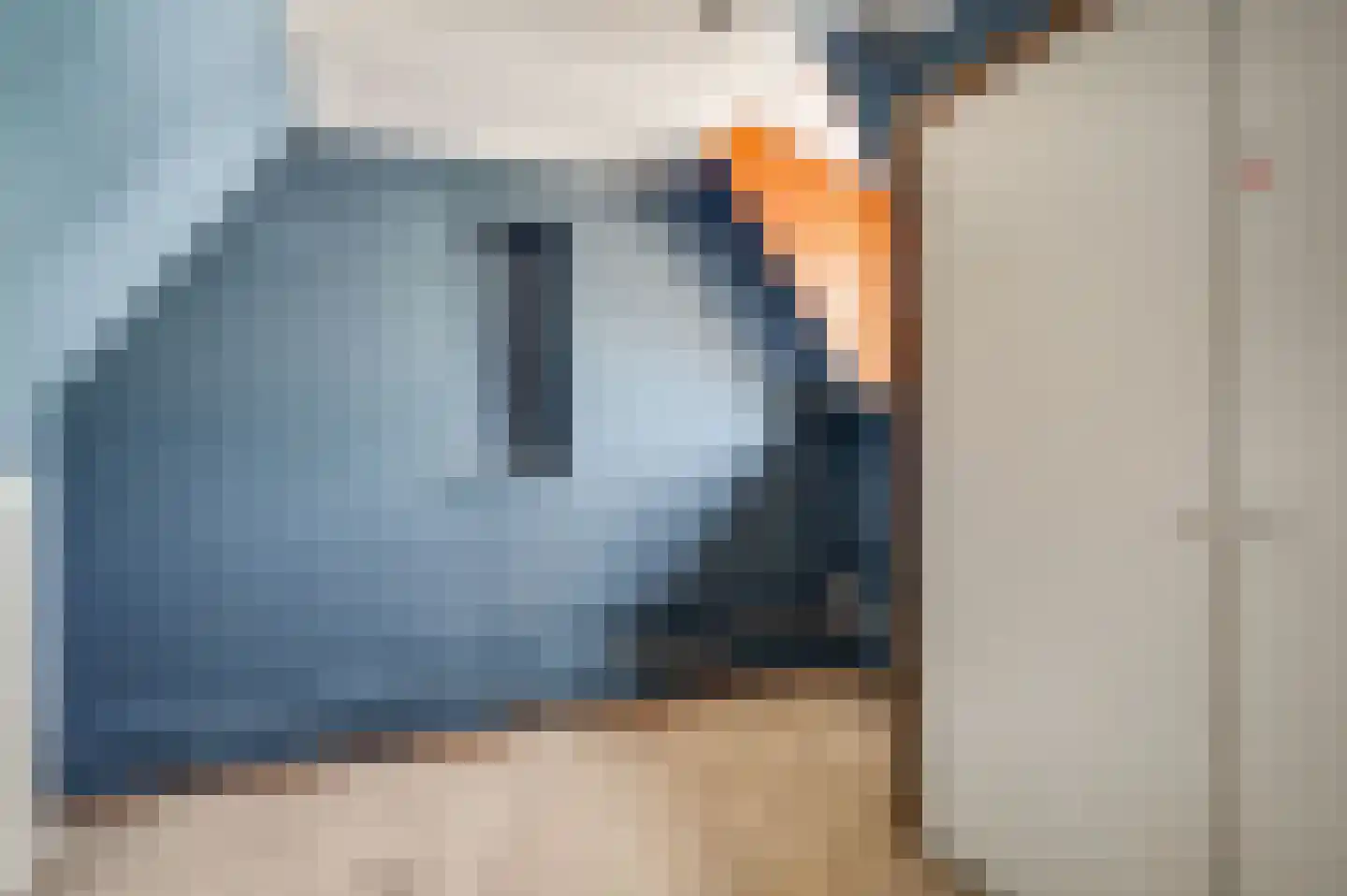 Dorpsstraat 55 Schinnen thumbnail 58