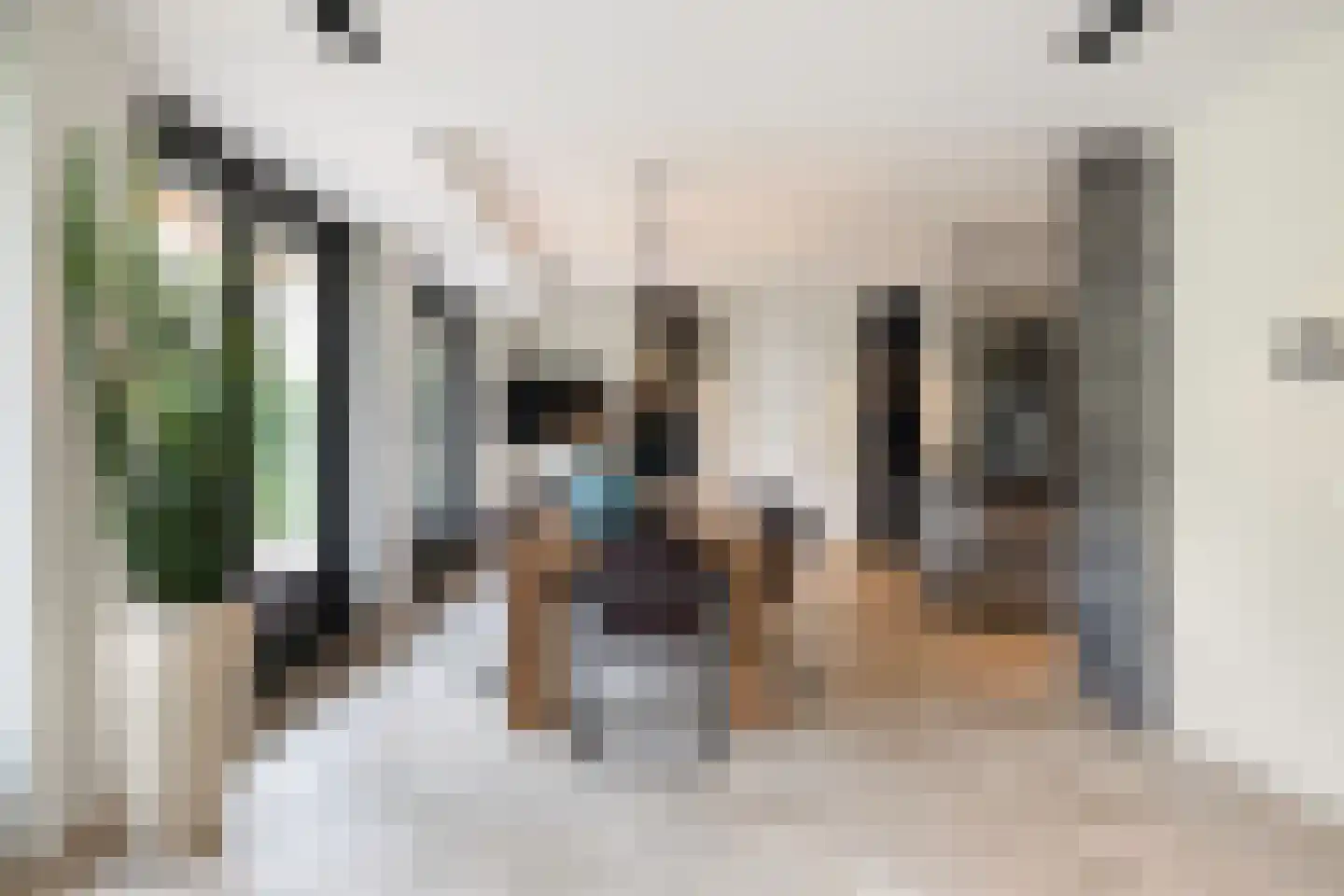 Dorpsstraat 55 Soerendonk thumbnail 12