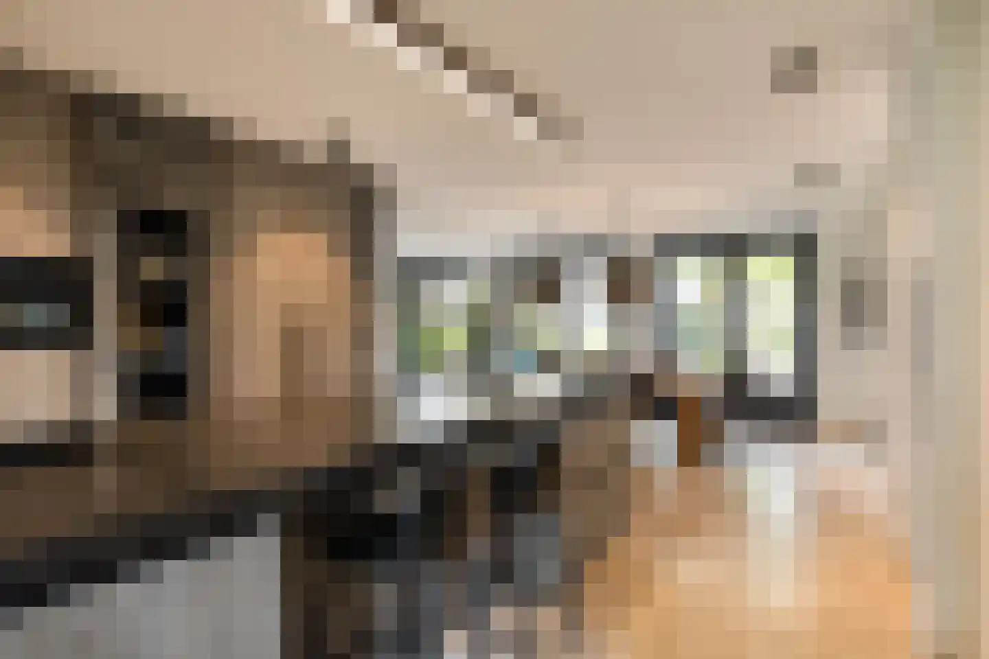 Dorpsstraat 55 Soerendonk thumbnail 17